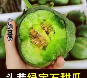 自家种植的甜瓜,是市场上能买到的那种皮是白色瓤是橙黄色的那种我是南通这的,为什么现在都开始结小瓜