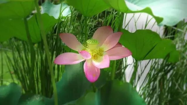 生活很现实的经典句子精辟至极(现实的正能量句子)(4)