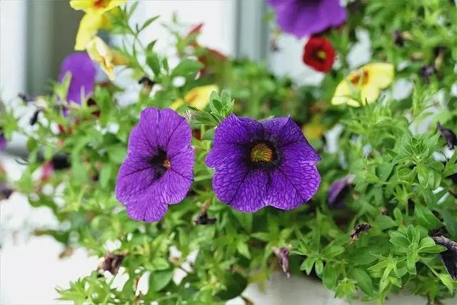 生活很现实的经典句子精辟至极(现实的正能量句子)(3)