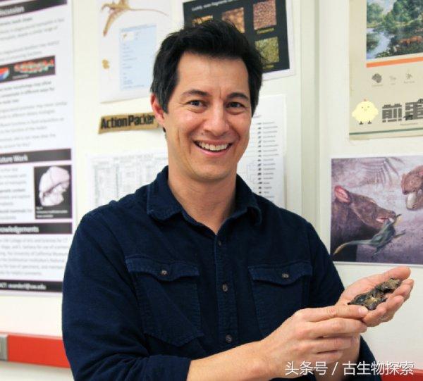 最大的白腹巨鼠:白垩纪大老鼠拥有哺乳类最强咬合力(3)