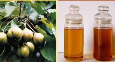 恩施美食,恩施最好的美食城是那几家?图6