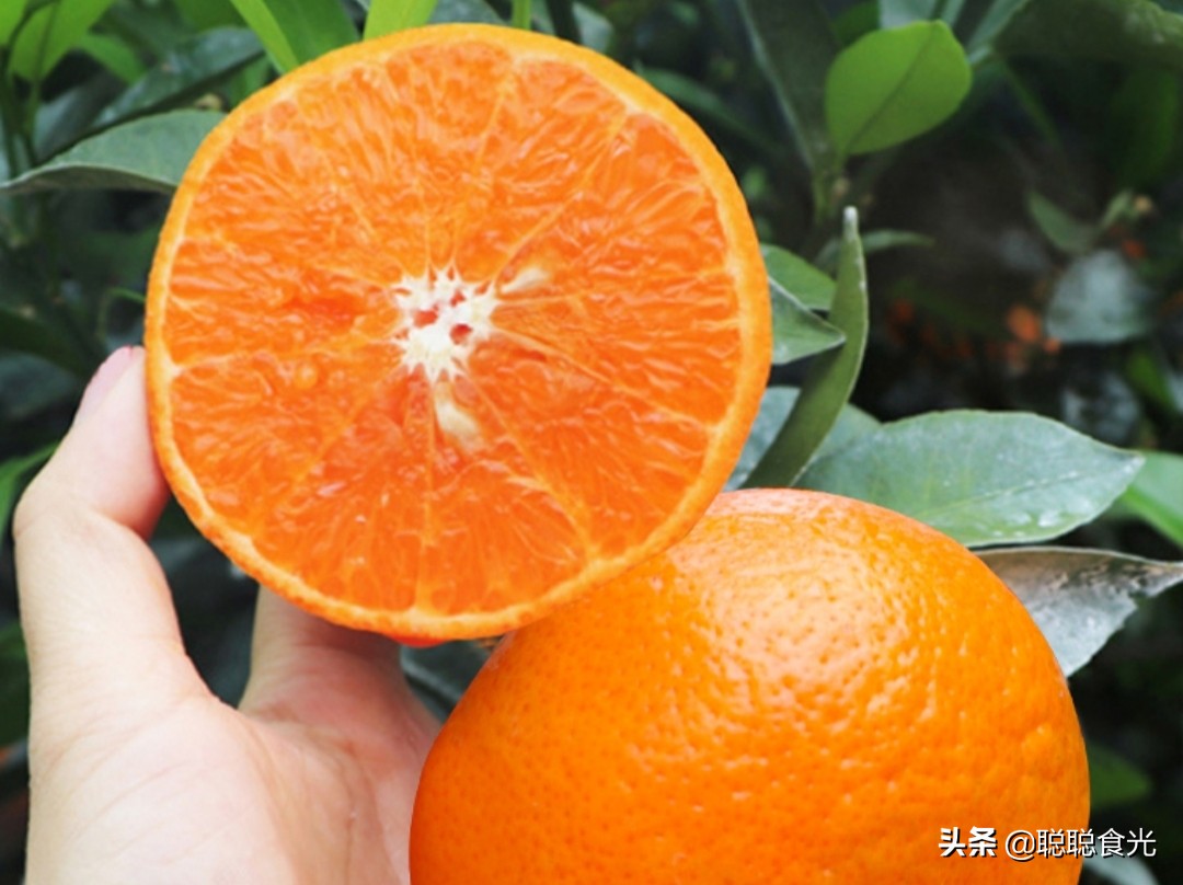 沃柑和茂谷柑哪个好吃(10个种类比较常见的橘子)