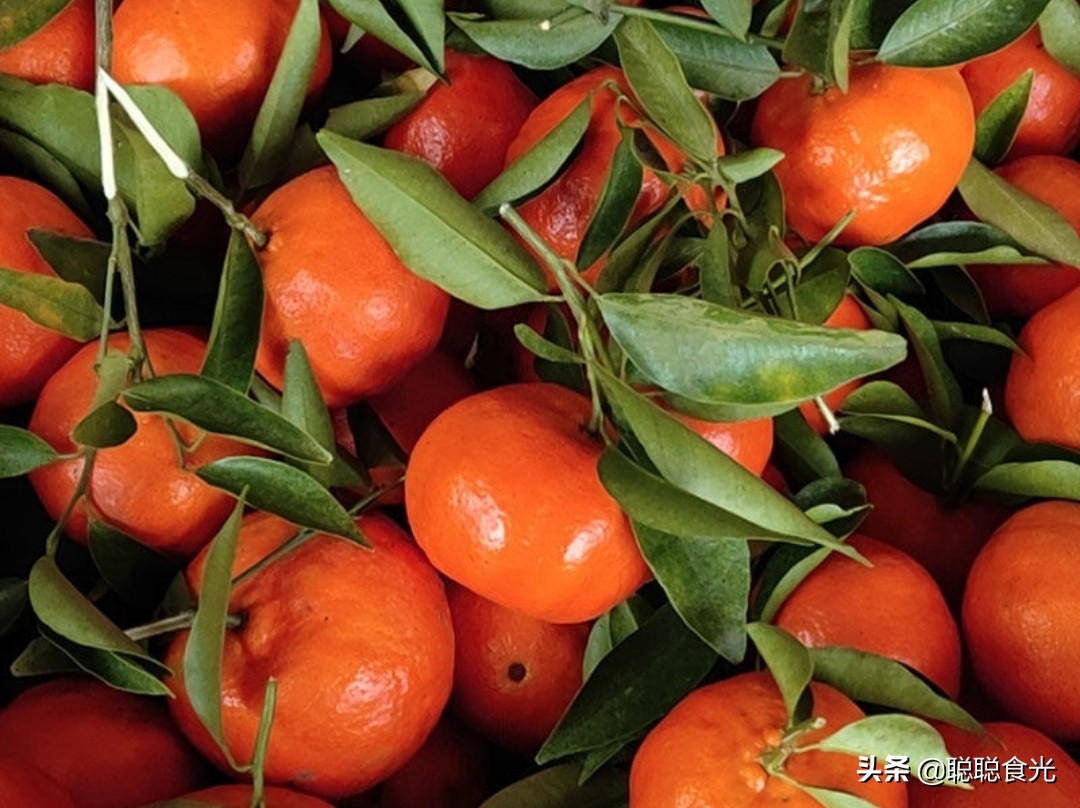 沃柑和茂谷柑哪个好吃(10个种类比较常见的橘子)