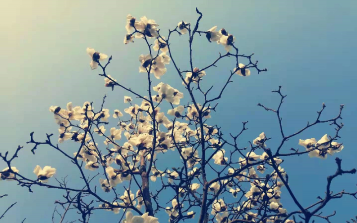 面试官不录用的征兆(详解面试失败的5种表现)