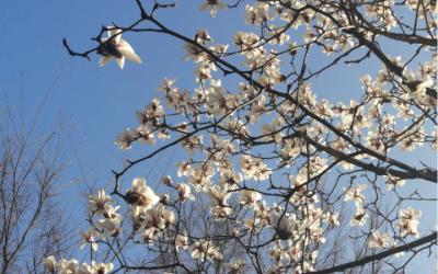 ​面试官不录用的征兆（详解面试失败的5种表现）