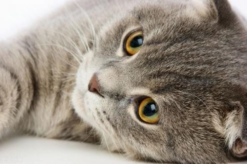 上海哆啦a梦专卖店(上海哆啦A梦快闪店)-第12张图片-