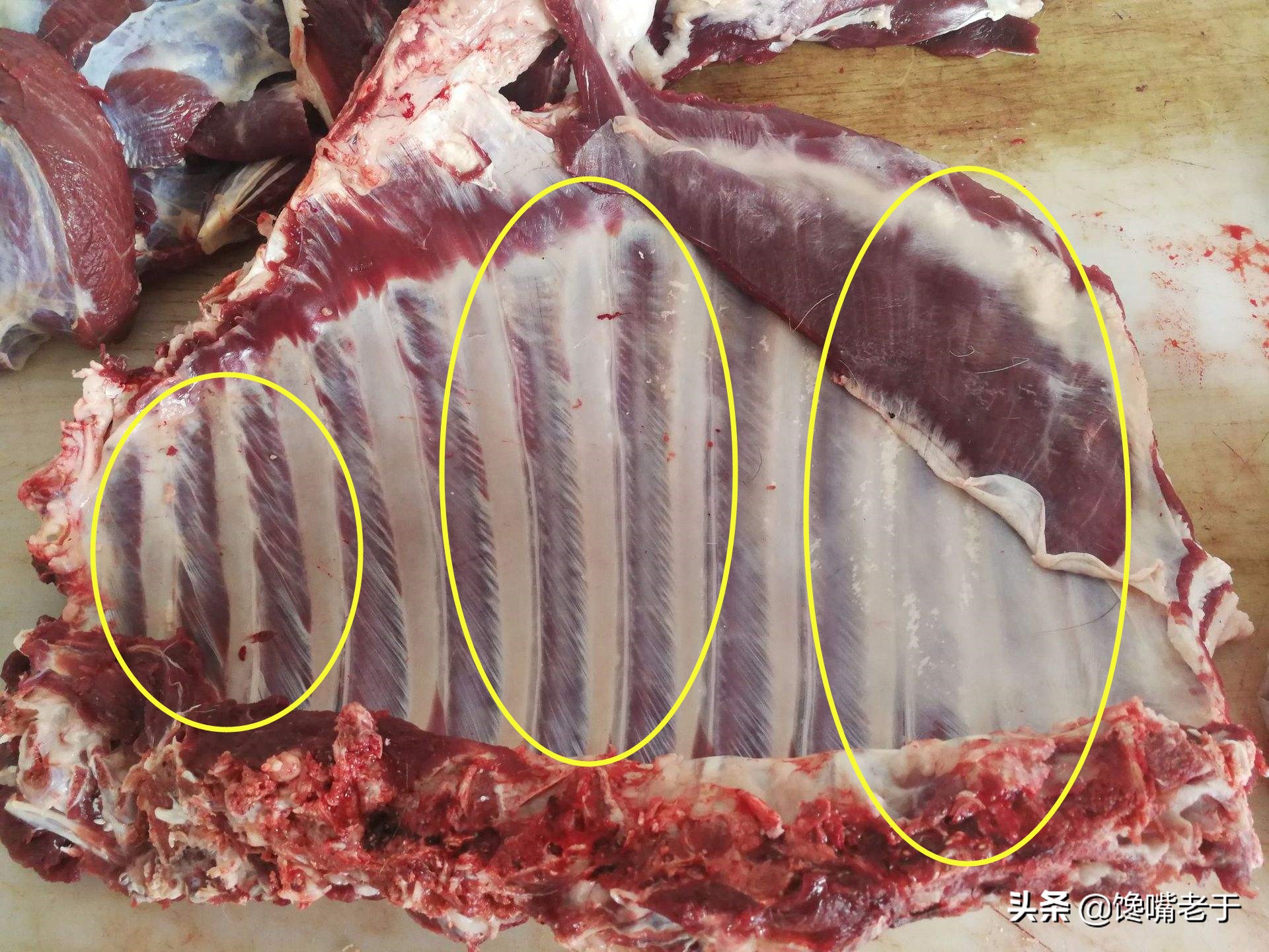 精排和排骨的区别图片（精排和排骨的不同点介绍）