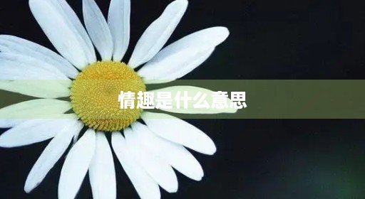情趣变得含义造句是什么造句造句意思生活