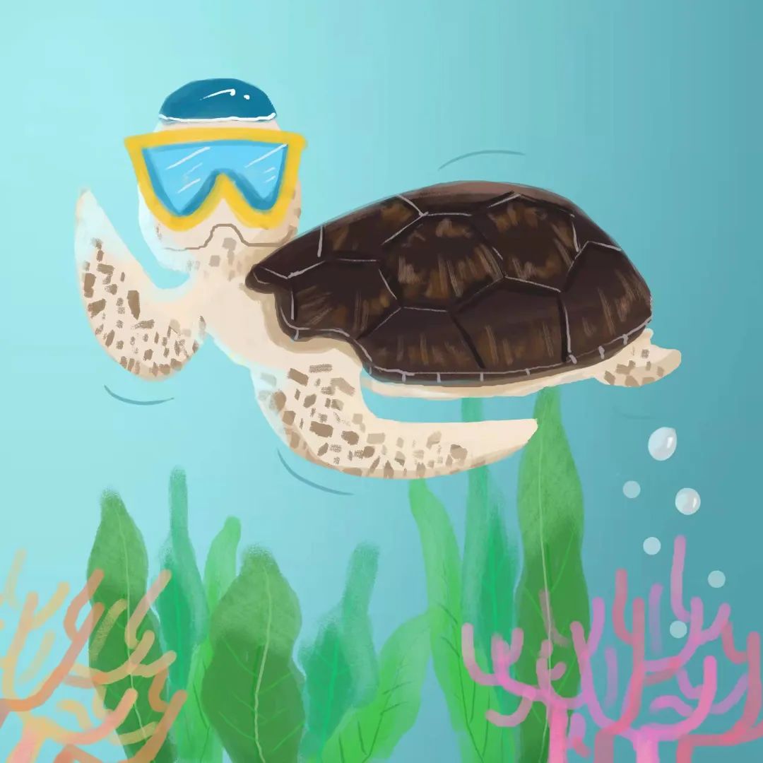 有动物界潜水冠军之称的是(动物界憋气冠军介绍)