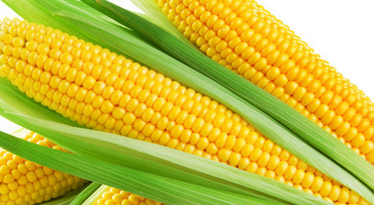 玉米煮多久会熟,玉米多久能够煮熟图3