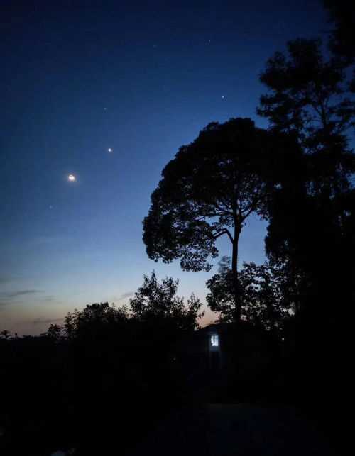 金星伴月寓意(金星伴月寓意浪漫)