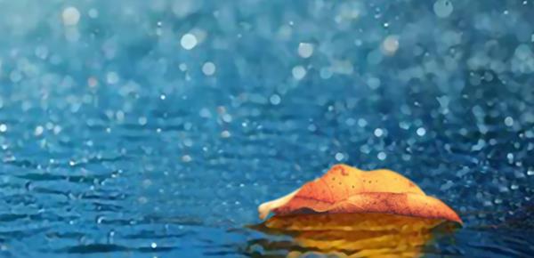 喜欢年长的男人是不是恋父