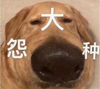 ​女生说大冤种什么意思 大冤种是指冤大头