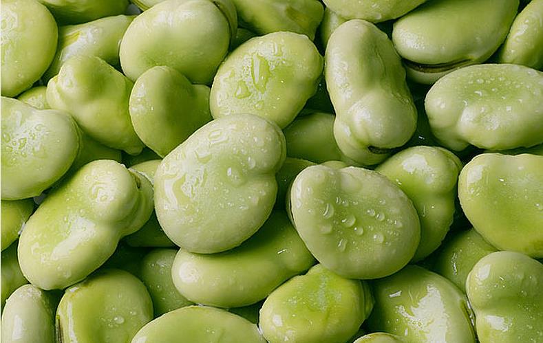 蚕豆的营养价值 蚕豆可以和鸡蛋一起吃吗 蚕豆的营养价值 蚕豆可以和鸡蛋一起吃吗