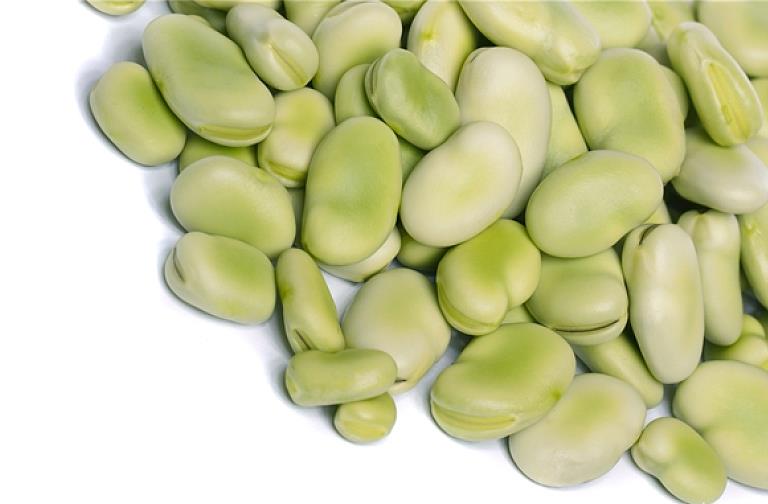 蚕豆的营养价值 蚕豆可以和鸡蛋一起吃吗 蚕豆的营养价值 蚕豆可以和鸡蛋一起吃吗