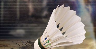 以下哪种球类运动的最高时速,世界上最快的球类运动是什么?图3