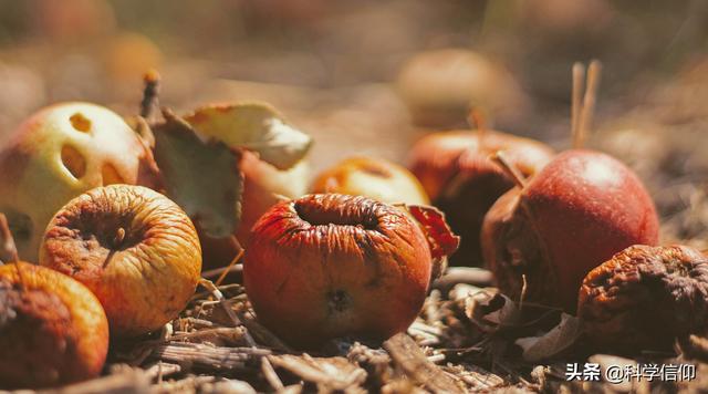太空真的有浮尸吗(太空中的尸体会一直存在吗)(3)