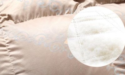 ​羽绒被会引起过敏吗，可能会（羽绒被中是鸭毛、鹅毛）