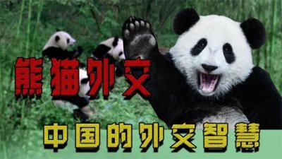 ​什么是熊猫外交
