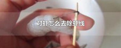​对虾怎么去除虾线
