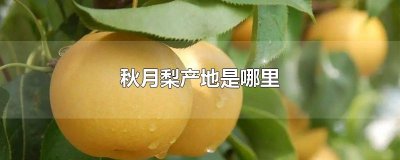 ​秋月梨产地是哪里