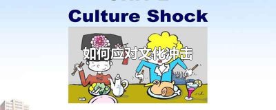 ​如何应对文化冲击