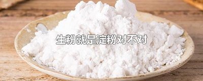 ​生粉就是淀粉对不对