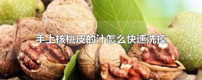 ​手上核桃皮的汁怎么快速洗掉