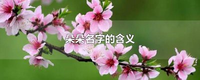 ​朵朵名字的含义