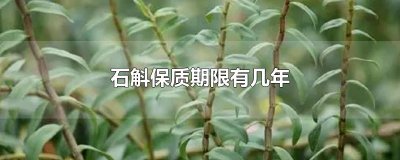 ​石斛保质期限有几年