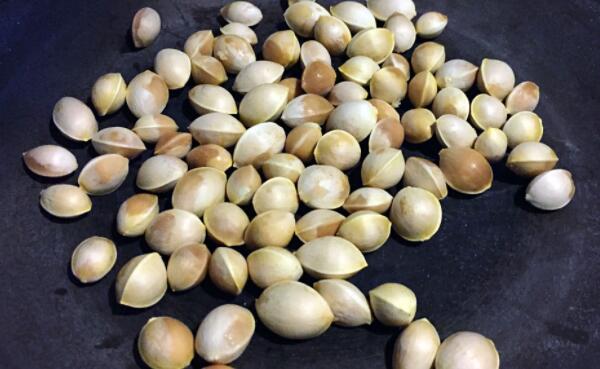 白果不能和什么一起吃,不能和鳗鱼、阿司匹林同食(对人有害)