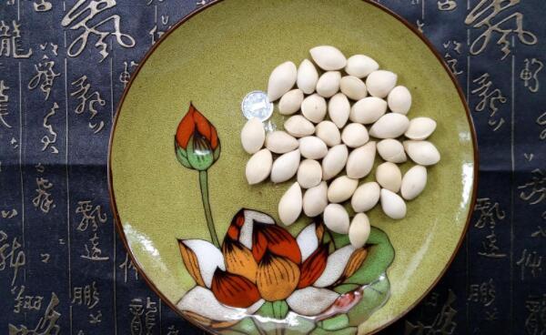 白果不能和什么一起吃,不能和鳗鱼、阿司匹林同食(对人有害)