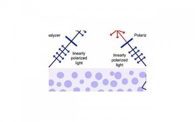 ​当老婆与老妈存在矛盾如何化解 男人必看