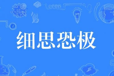 ​谈何容易和细思极恐哪个是成语?