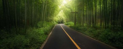 ​普通竹叶可以泡水吗百度 普通的竹叶可以用来泡水吗