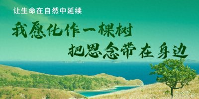 ​什么是绿色殡葬？绿色殡葬，让生命回归自然