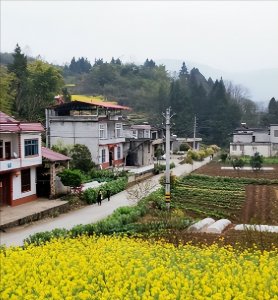 ​农村6个新兴的致富门路，小富靠勤，大富靠命！你知道几个？