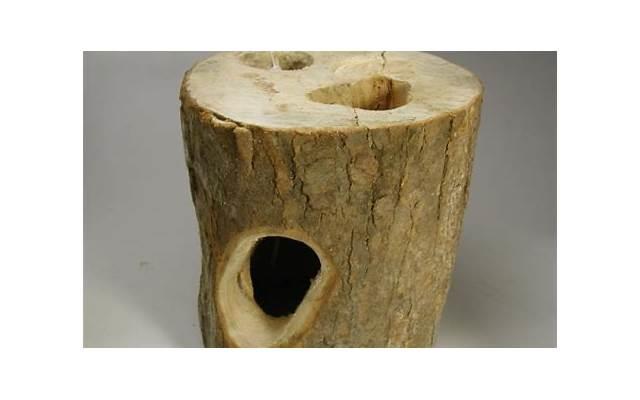 把舌头伸进去添我的批真舒服视频 把舌头伸进去添我的批真舒服视频