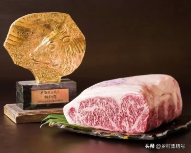 ​日本神户牛肉：一同探索神户牛肉品牌的魅力和独特之处
