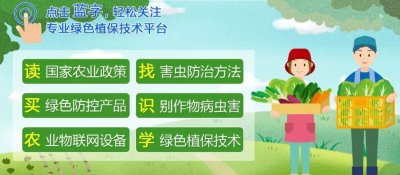 ​80张高清图片教您识别草地贪夜蛾