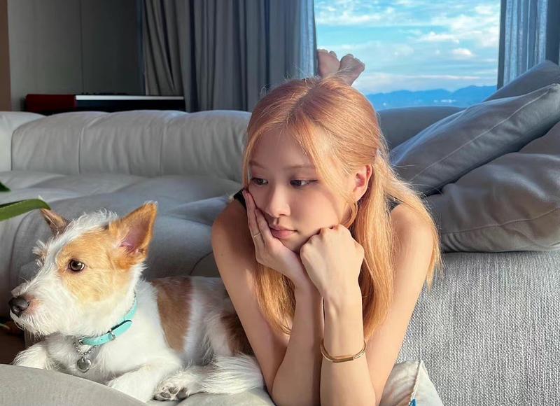 屋顶通风器,安装薄型屋顶通风器应注意哪些问题 屋顶通风器,安装薄型屋顶通风器应注意哪些问题