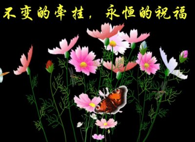 ​最新早上好表情动图大全，天天开心，迎接美好的明天