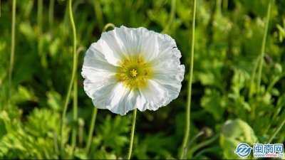 ​5.25是什么节日“5·25”的谐音是什么？“5·25”为什么是大中学生心理健康日