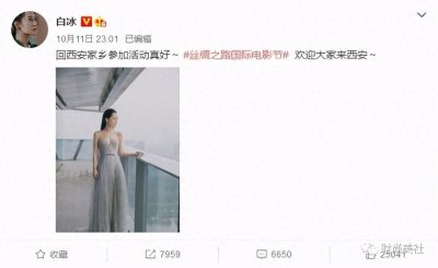 ​连白冰都不能穿的Elie Saab 到底有什么来头