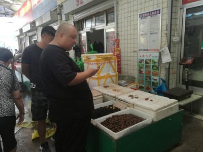 ​知了龟60元一斤，比去年便宜