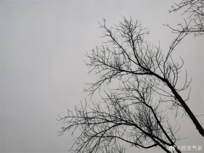 ​西安下雪了！这些地方临时交通管制！