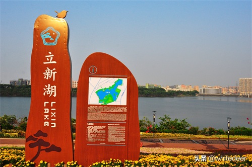 随拍公园 - 环湖游走 深圳立新湖公园