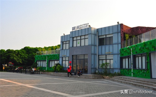 随拍公园 - 环湖游走 深圳立新湖公园