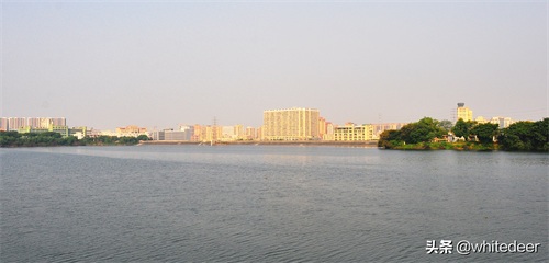 随拍公园 - 环湖游走 深圳立新湖公园