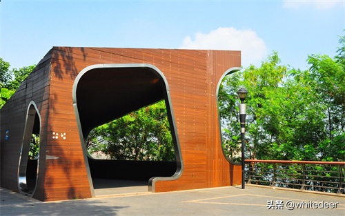 随拍公园 - 环湖游走 深圳立新湖公园